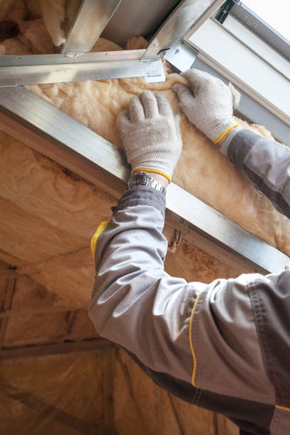 Best Eco-Friendly Insulation in Fort Atkinson, WI