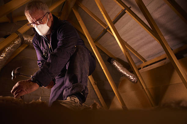 Best Eco-Friendly Insulation in Fort Atkinson, WI